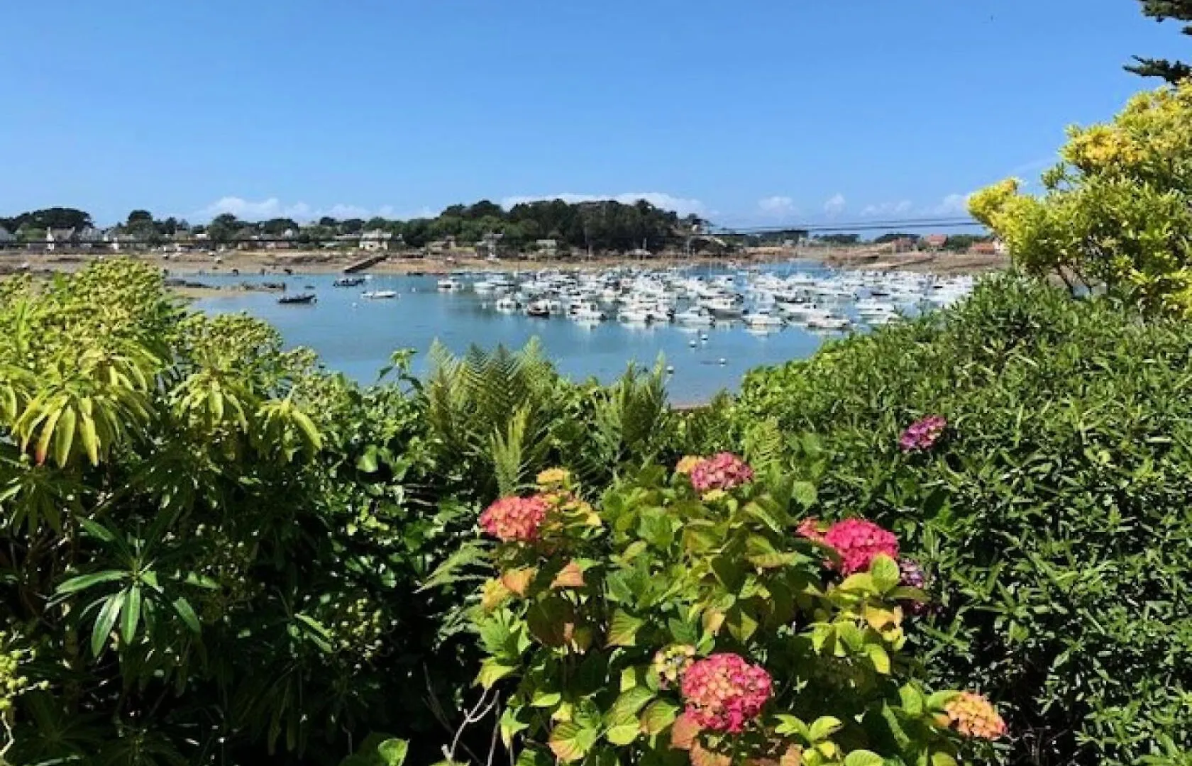 Διαμέρισμα Residence V50-Perros Guirec - Villa Vue Mer Sur Le Port De Ploumanac'H Mae-4134